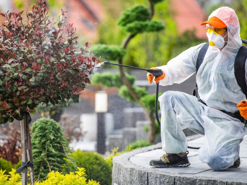 Bozyaka Haşere İlaçlama